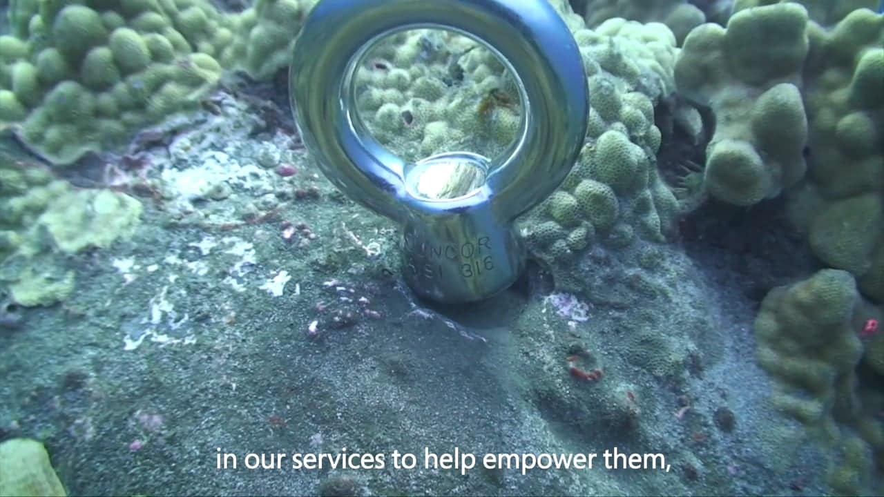 Cas client : Jack’s Diving Locker – Comment protéger nos océans